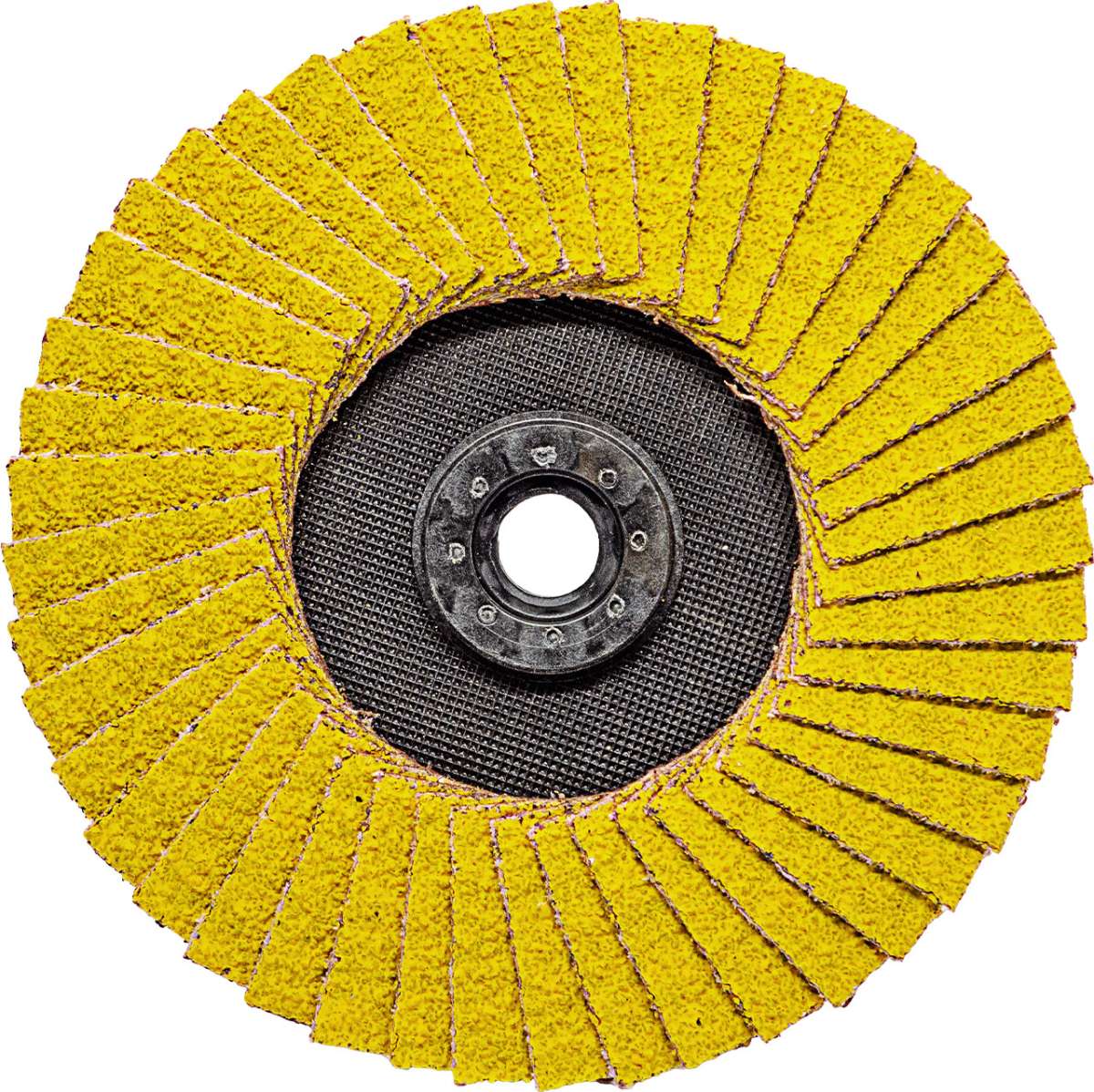 TRIMFIX HellFire Heavy-Duty flap disc | Eisenblätter Shop